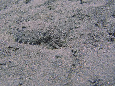 Joes Diving Bali - Die Tauchburg,Bali,Indonesien