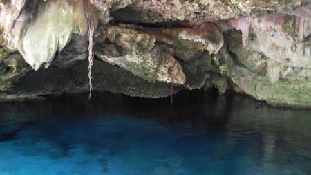 Cenote Dos Ojos (Bat-Cave),Mexiko