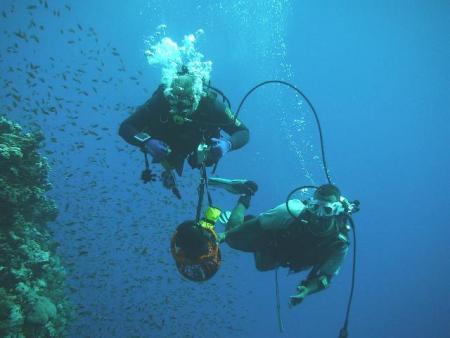 Beachsafari Diving Camp Marsa Alam,Marsa Alam und südlich,Ägypten