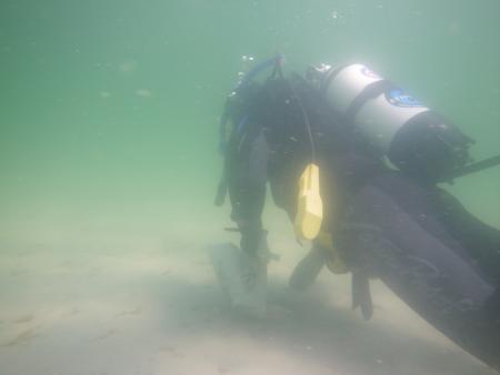Crazy Diving,Drewoldke,Rügen,Mecklenburg-Vorpommern,Deutschland
