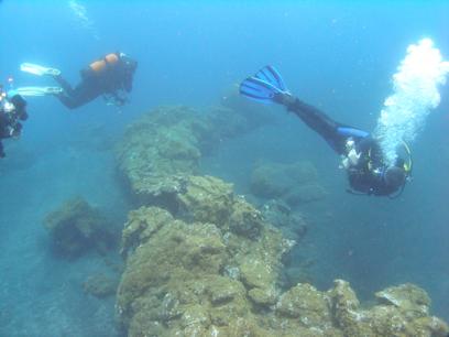 Buceo-Sub La Palma,Kanarische Inseln,Spanien