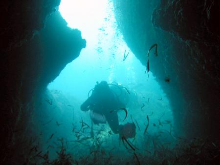 Barakuda Oktopus Diving,Paguera,Mallorca,Balearen,Spanien