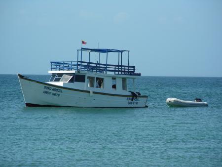 Scuba Pelicano,Isla Margarita,Juan Griego / Venezuela,Venezuela