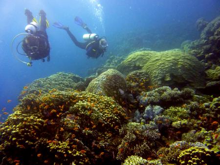 Beachsafari Diving Camp Marsa Alam,Marsa Alam und südlich,Ägypten