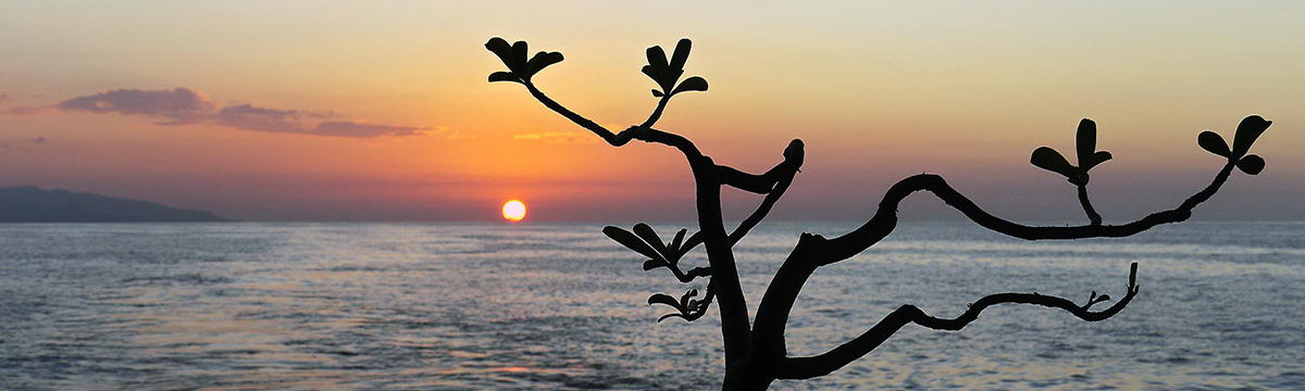Indonesia: Forgotten islands - Diveinside News - Vimarsana News