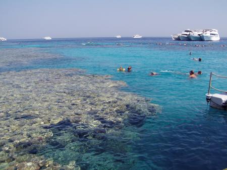 Venta Diving Sharm el Sheikh,Sinai-Süd bis Nabq,Ägypten