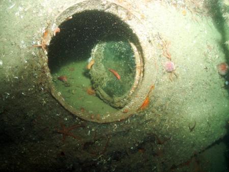 Scapa Flow,Schottland,Großbritannien