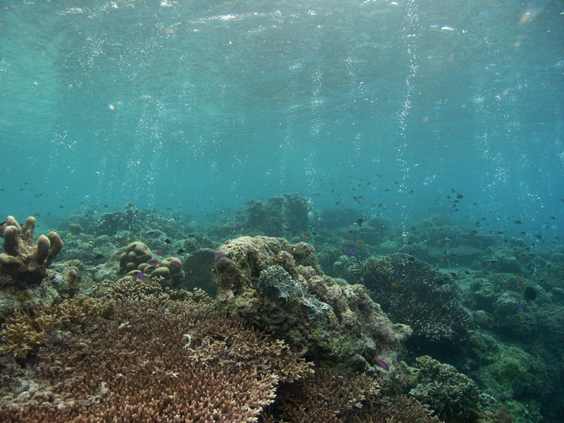 Sipadan - Höhlentauchen, Sipadan,Malaysia