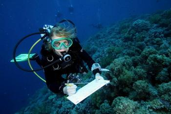 Jeder Taucher ein Forscher: Reef Check Safari