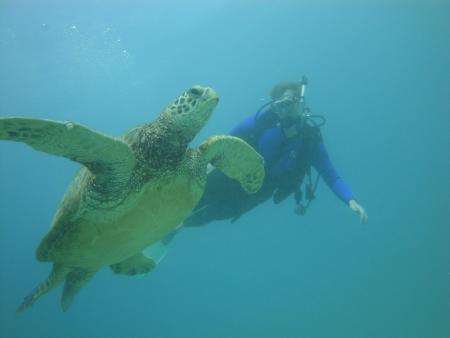 AquaZone Scuba Diving & Watersports Center,Hawaii,USA