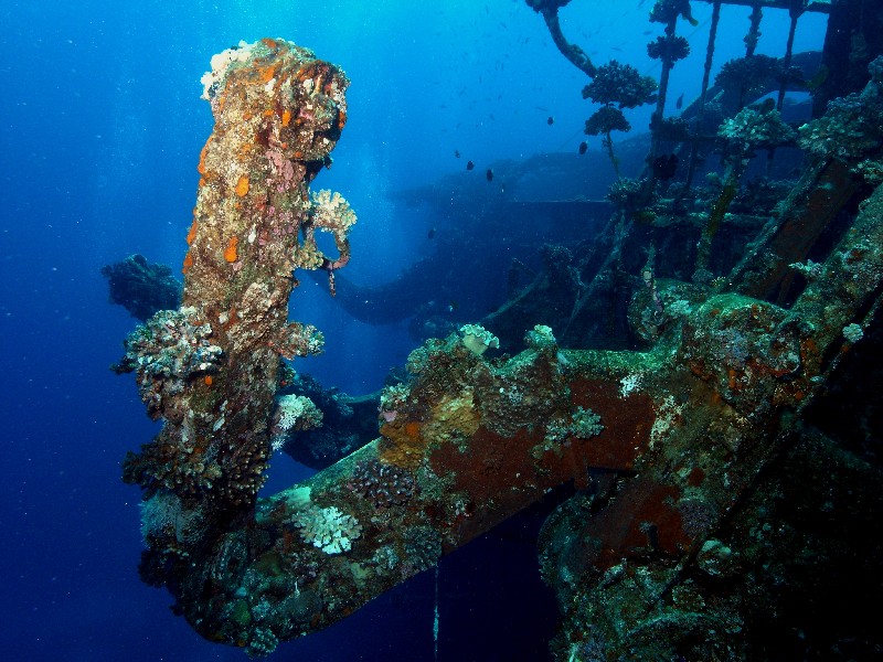 Salem Express Safaga, Wrack der Salem Express (Safaga),Ägypten