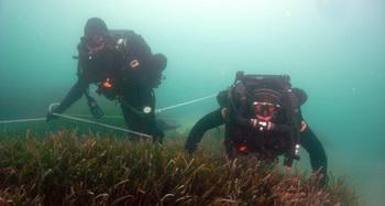 Minentaucher (SEKM) im Training