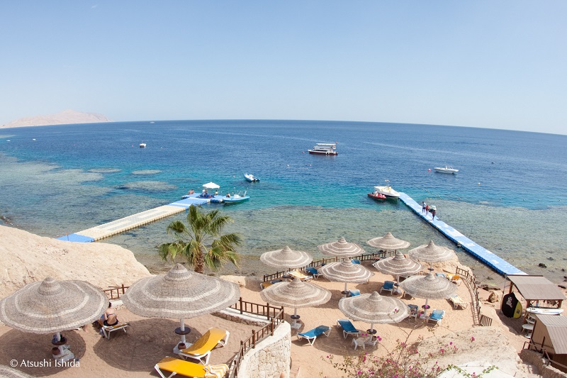 Hilton Sharks Bay HouseReef , HouseReef, Sinai Dive Club, Hilton Sharks Bay, Sharm el Sheikh, Ägypten, Sinai-Süd bis Nabq