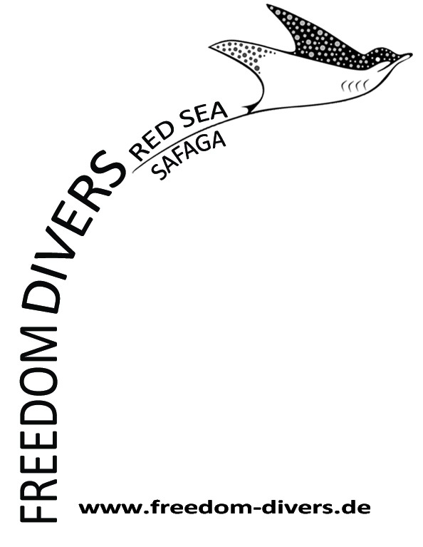 Freedom Diver, Safaga, Ägypten, Safaga