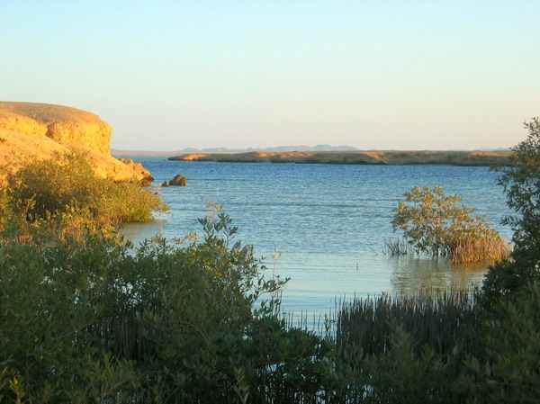 El Quseir - Mangrove Bay, Mangrove Bay  Hausriff,Mangrove Bay,El Quseir,Ägypten