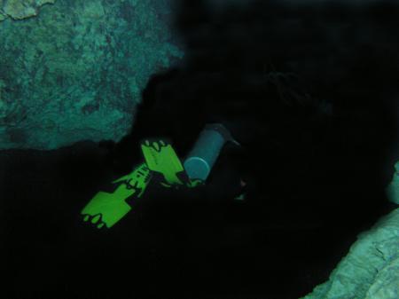 Dressel Divers / Cozumel,Mexiko