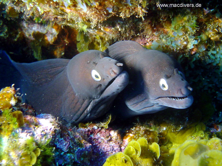El Hierro, El Hierro,Spanien