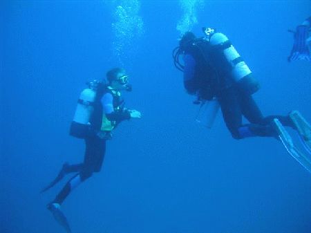 diving Dragonera,Port d`Andratx,Balearen,Spanien