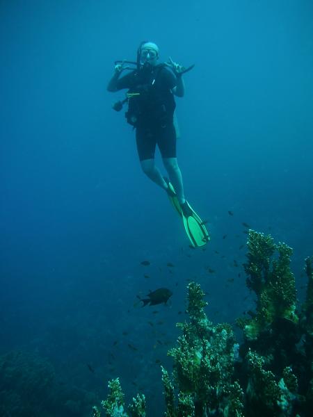 SUB AQUA DiveCenter Utopia Beach,El Quseir bis Port Ghalib,Ägypten