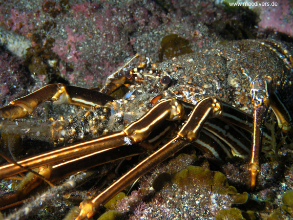 El Hierro, El Hierro,Spanien