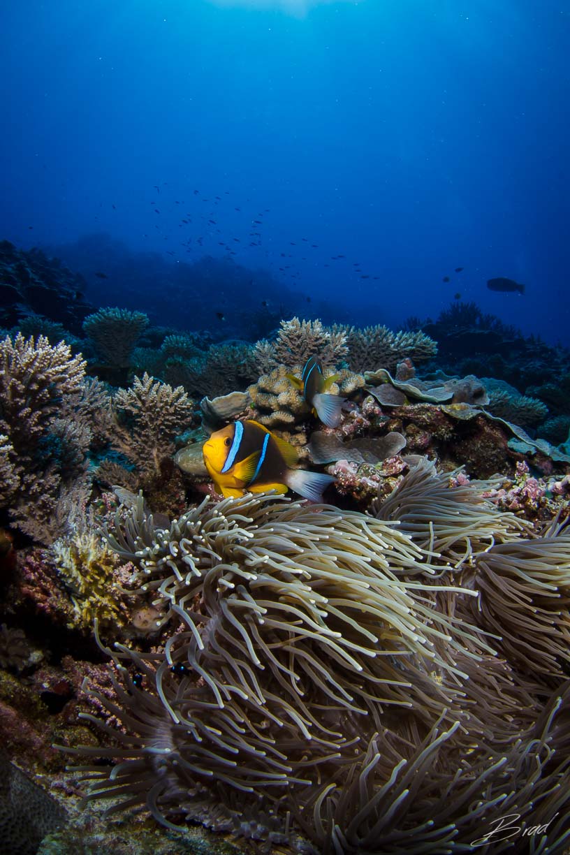 Buenavista Yap, Buenavista, Yap, Mikronesien