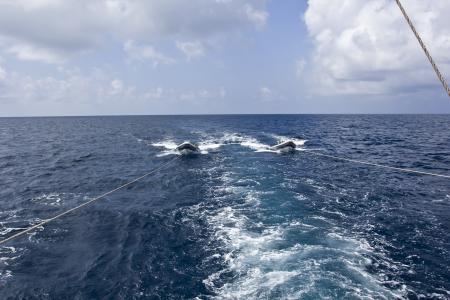 S/Y Maldives Siren,Malediven