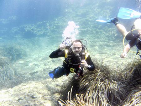 Dive & Fun,Cala D´Or,Mallorca,Balearen,Spanien