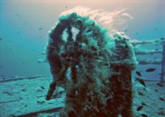 Mad Shark Diving,St. Pauls Bay,Malta