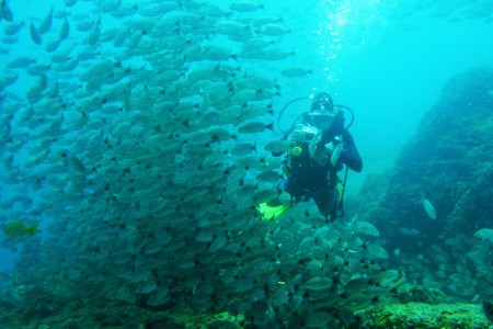 Deep Blue Diving Adventures,Playa de Coco,Guanacaste,Costa Rica