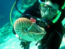 Vortrag  Manta-Divers - Mikronesien