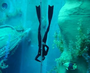 Apnoe - Freitauchen im monte mare Rheinbach