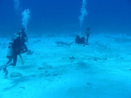 Blue Note Diving,Cozumel,Mexiko