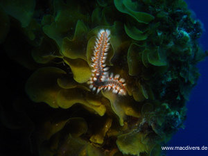 El Hierro, El Hierro,Spanien