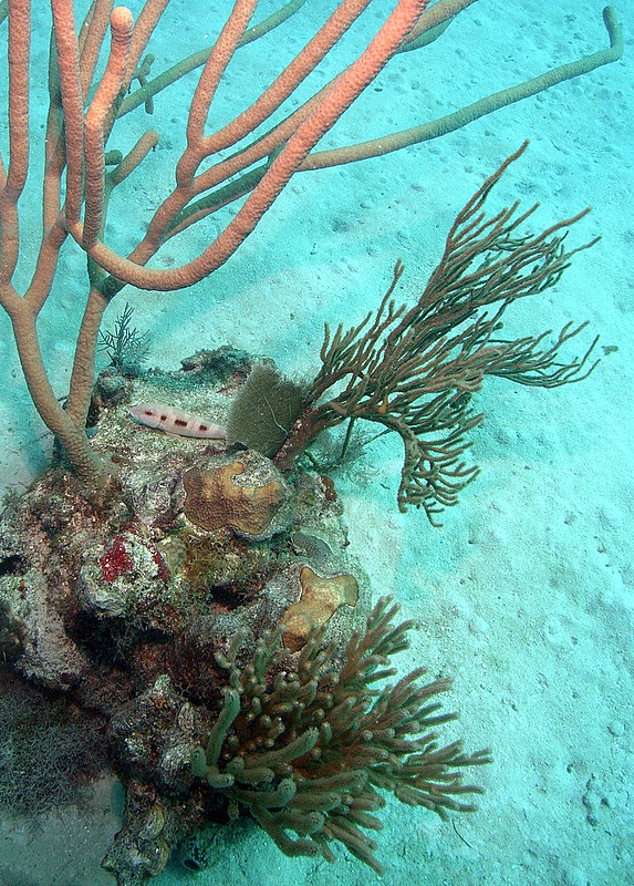 Bayahibe - Parque Nacional II, Bayahibe,Dominikanische Republik