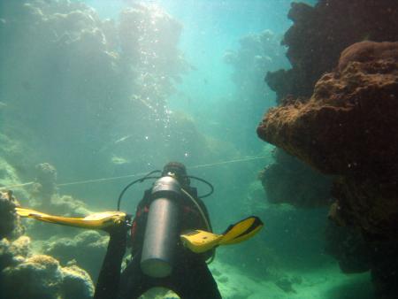 diving.DE el Flamenco,El Quseir bis Port Ghalib,Ägypten
