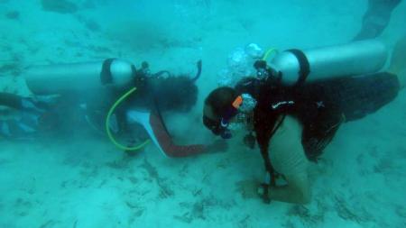 Club Faru,Aeolus Divers,Farukolufushi,Malediven