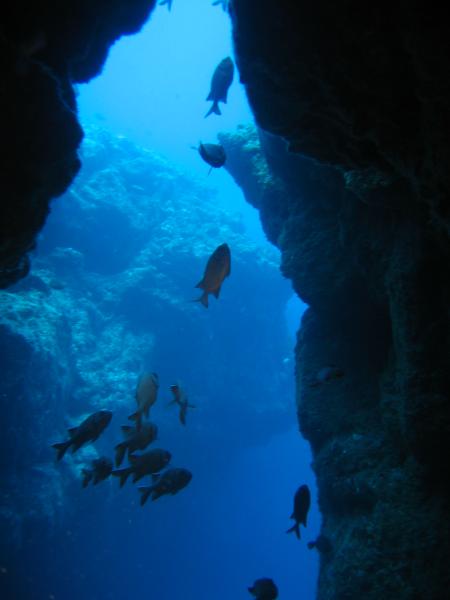 Punto Blue Diving Center,Flic en Flac,Mauritius
