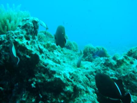 Sub Aqua Dive Center,Khao Lak,Andamanensee,Thailand