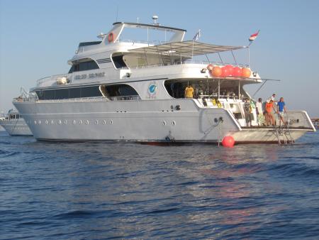 M/Y Golden Dolphin II,Ägypten