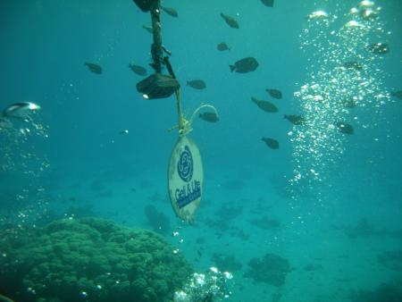 Geli & Ute Diving Center,Hurghada,Ägypten