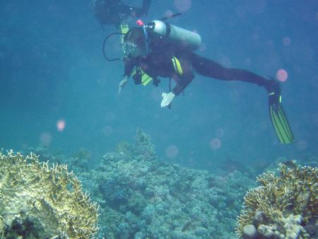 Action Sport Aquatis Diving Center,Sharm el Sheikh,Sinai-Süd bis Nabq,Ägypten