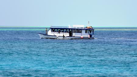 Hammerhead 2,Malediven