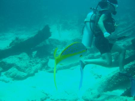 Pelicano Sport,Bavaro - Punta Cana,Dominikanische Republik