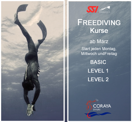 Freediving for everybody! Do you want to try for the first time? You are welcome., Coraya Divers, Coraya Beach, Marsa Alam, Ägypten, Marsa Alam und südlich