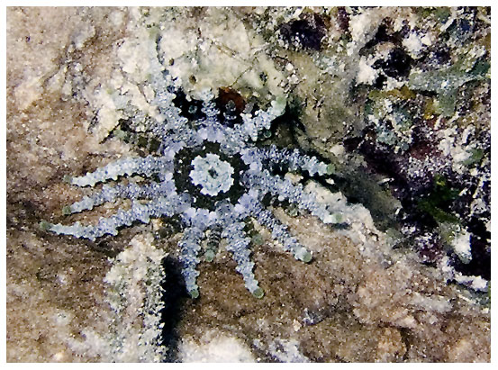 Bayahibe, Bayahibe,Dominikanische Republik