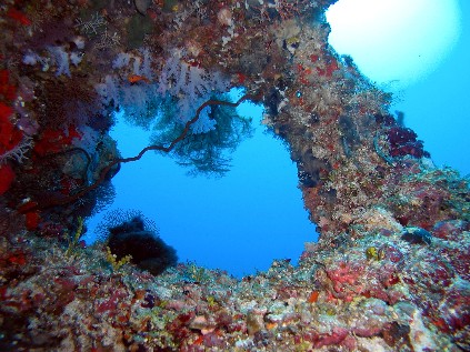 Embudu / Süd Male Atoll, Embudu,Malediven