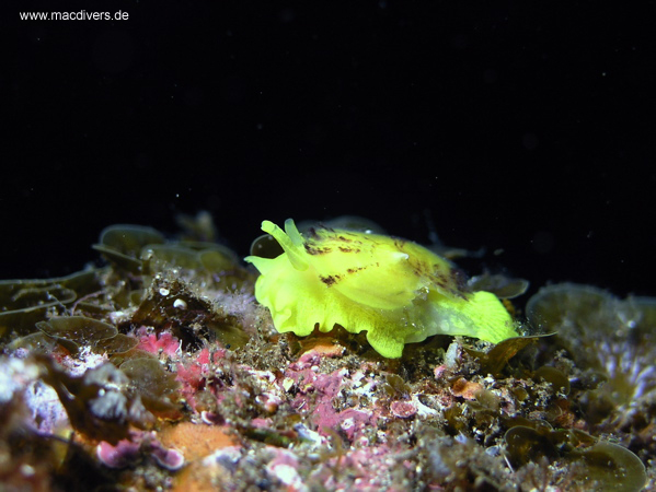 El Hierro, El Hierro,Spanien
