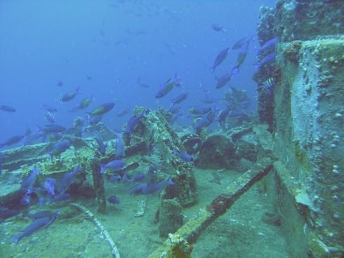 Upperbus & Wreck Veronika, Grand Ansen, Veronika Wreck,Grenada