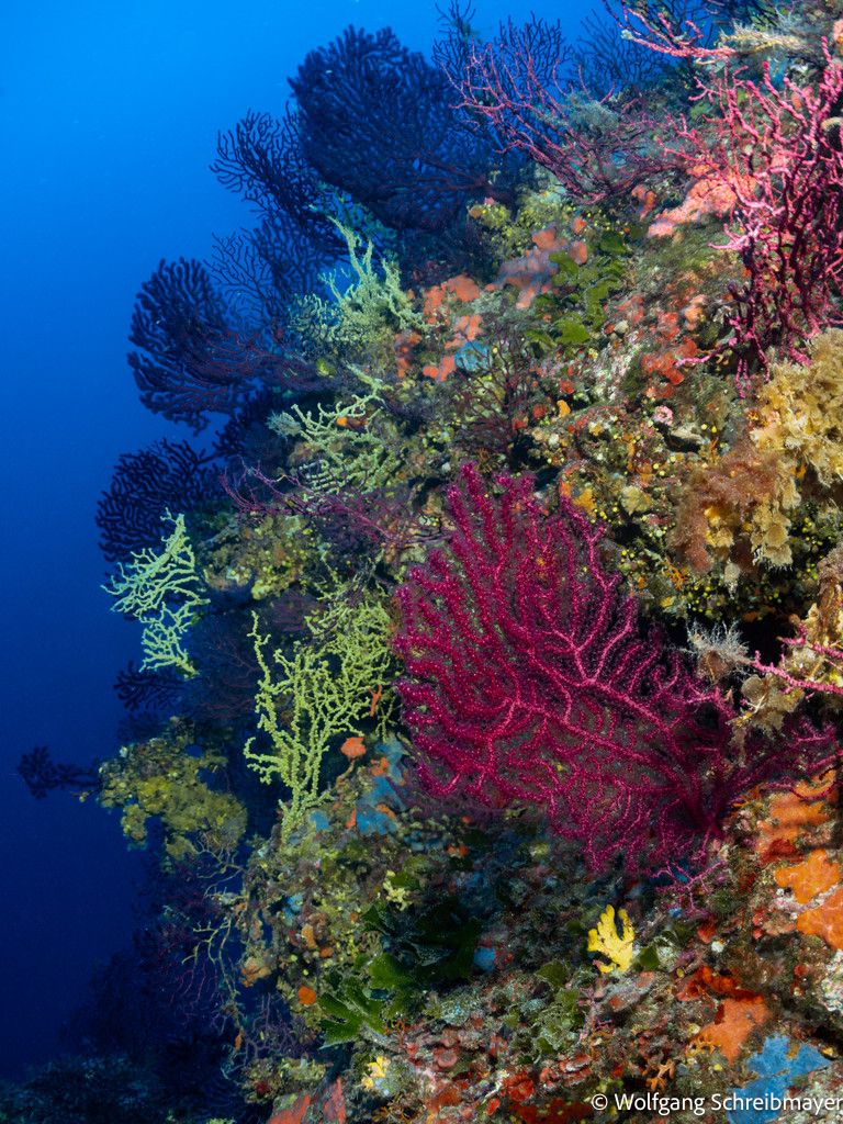 Punta Diving, Betina, Kroatien