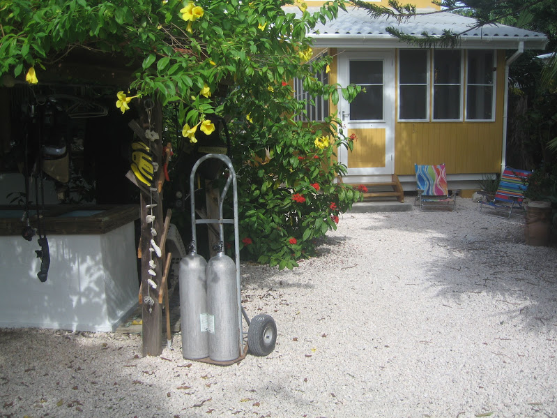 Haus, Villa Mango Dive Center, Willemstad, Niederländische Antillen, Curaçao